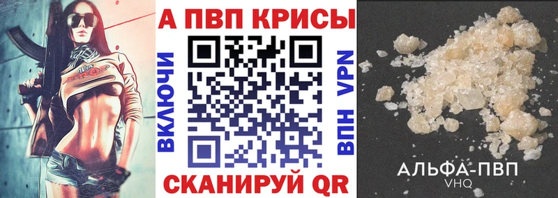 МЕФ Сочи