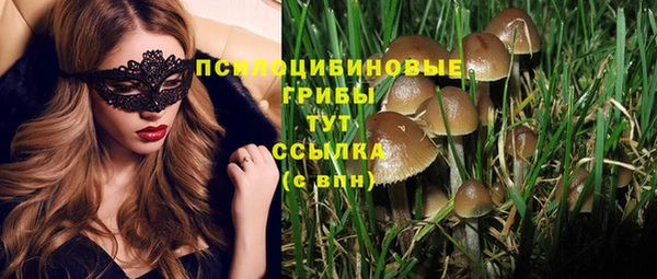 таблы Надым