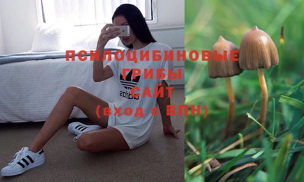 ALPHA-PVP Верхний Тагил
