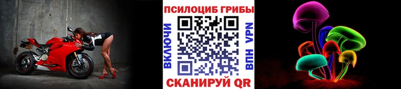 Галлюциногенные грибы Psilocybe  Сочи 